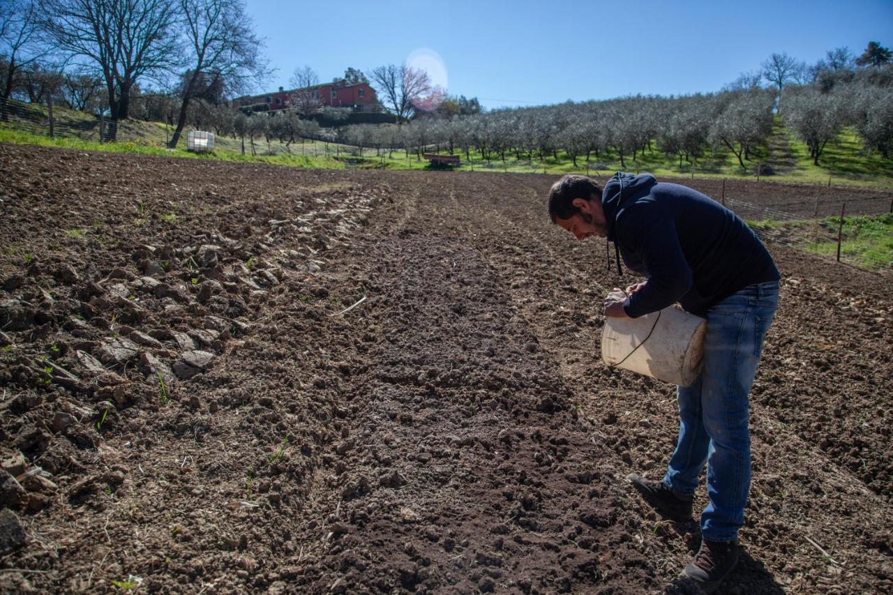 Locanda Agricola Posapiano Montecarlo Kültér fotó