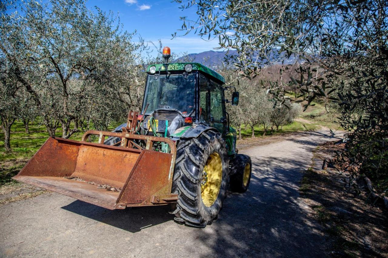 Locanda Agricola Posapiano Montecarlo Kültér fotó