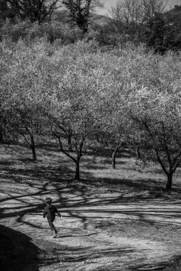 Locanda Agricola Posapiano Montecarlo Kültér fotó