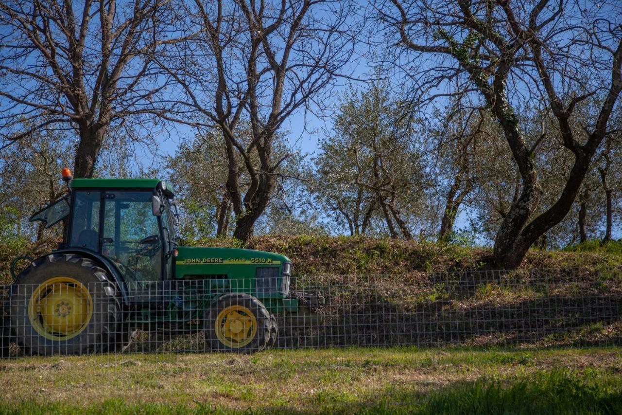Locanda Agricola Posapiano Montecarlo Kültér fotó