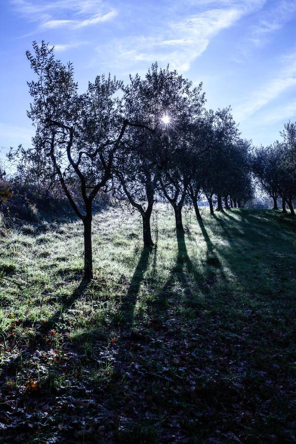 Locanda Agricola Posapiano Montecarlo Kültér fotó